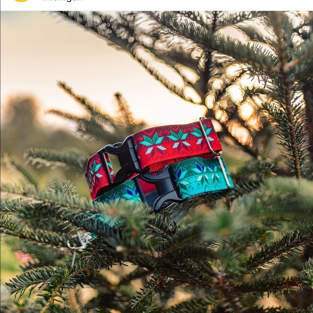 Wild Wear Dog Collars